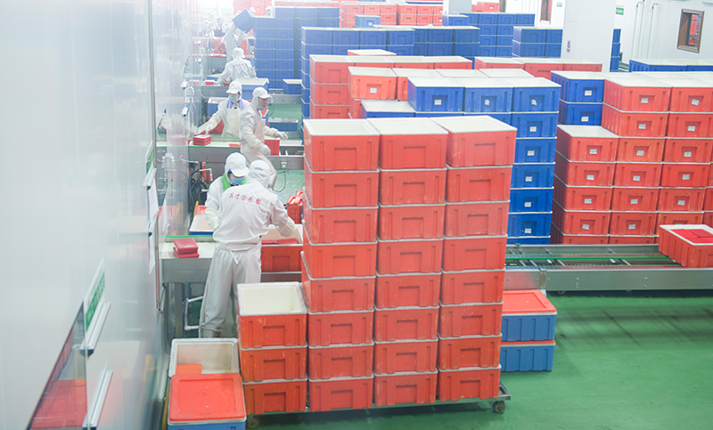 鸿运国际·(中国)官网登录入口