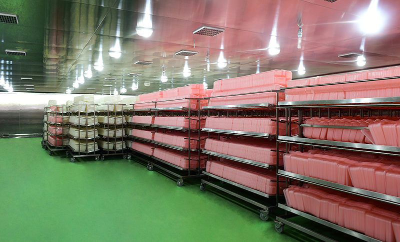 鸿运国际·(中国)官网登录入口