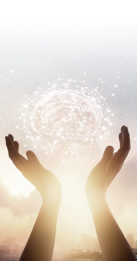 鸿运国际·(中国)官网登录入口